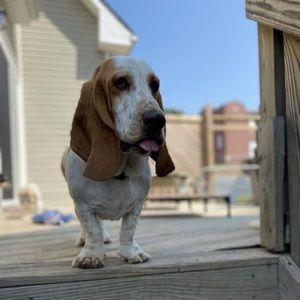 Meet your Posher, Jolleen